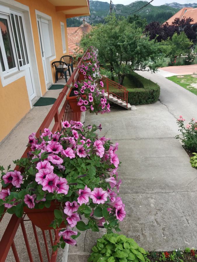 Apartments Mirkovic เซทินเจ ภายนอก รูปภาพ