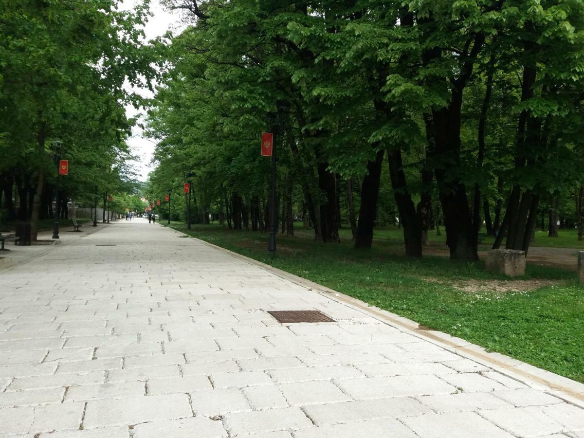 Apartments Mirkovic เซทินเจ ภายนอก รูปภาพ